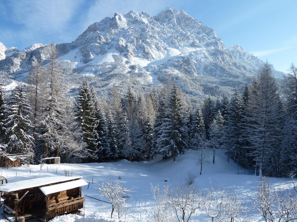 Appartamenti Da Nica E Diego Borca di Cadore Oda fotoğraf