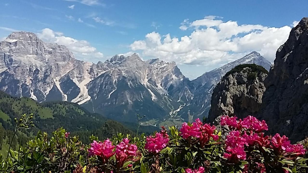 Appartamenti Da Nica E Diego Borca di Cadore Dış mekan fotoğraf